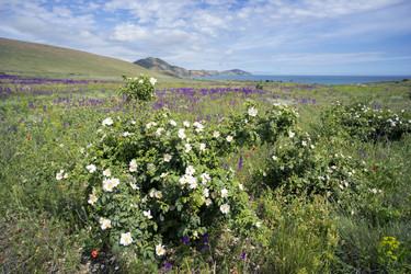 Similar image 8484627