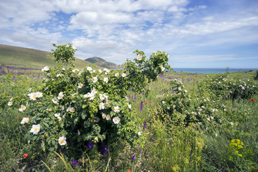 Similar image 8484631