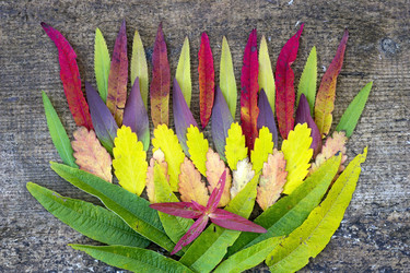 Similar image 8484667