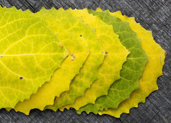 Similar image 8484668