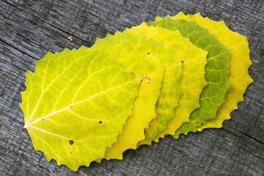 Similar image 8484669