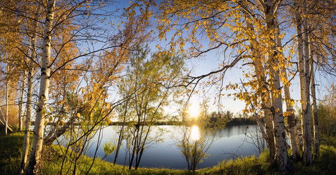 Similar image 8484671