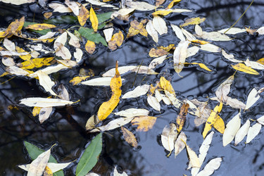 Similar image 8484746