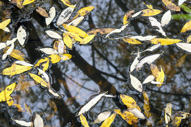 Similar image 8484748