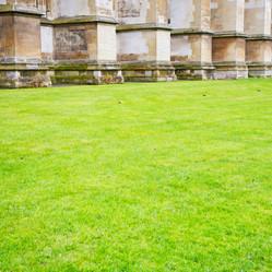 Similar image 8484792