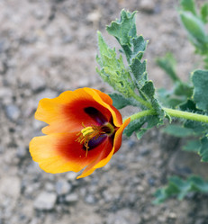 Similar image 8484815