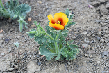 Similar image 8484816