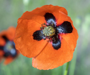 Similar image 8484819