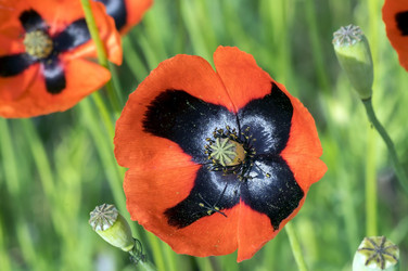 Similar image 8484820