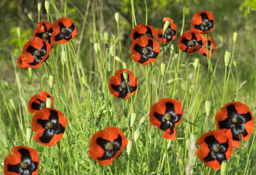 Similar image 8484821