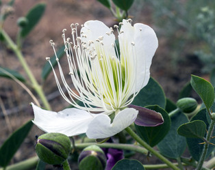 Similar image 8484822