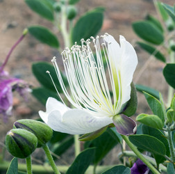 Similar image 8484823