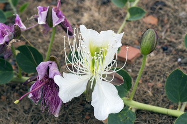 Similar image 8484832