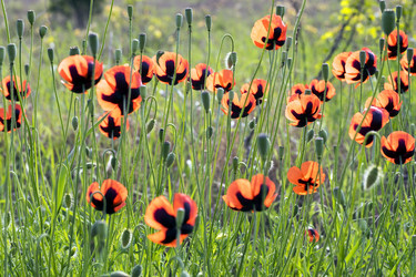 Similar image 8484833