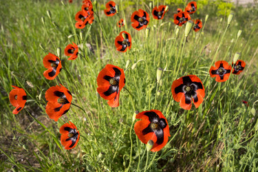 Similar image 8484834