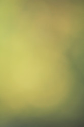 Similar image 8484850