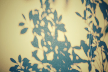 Similar image 8484851