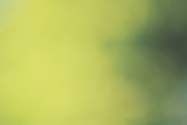 Similar image 8484852