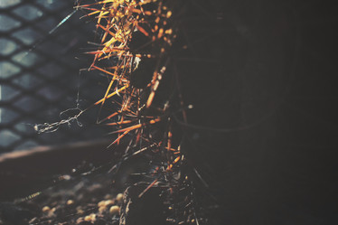 Similar image 8484865