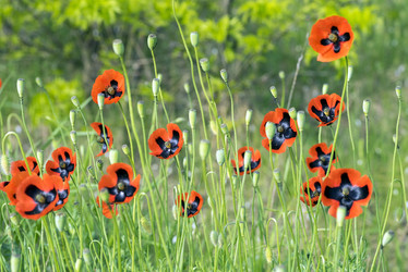 Similar image 8484869