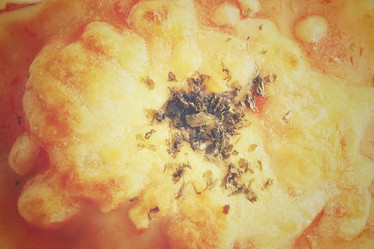 Similar image 8484937