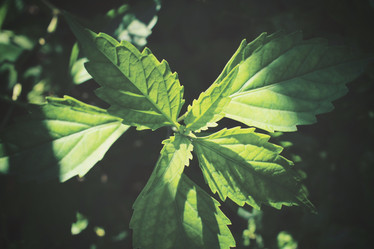 Similar image 8484963