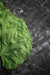 Similar image 8484967