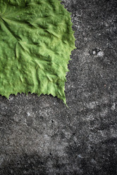 Similar image 8484968