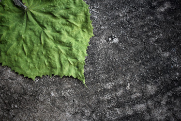 Similar image 8484969