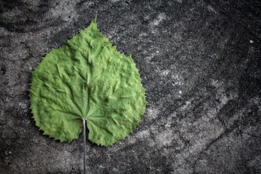 Similar image 8484970