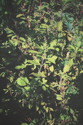 Similar image 8484976