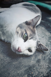 Similar image 8484978