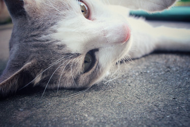 Similar image 8484983