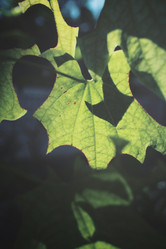 Similar image 8484993