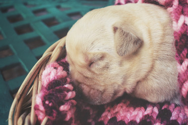 Similar image 8485019