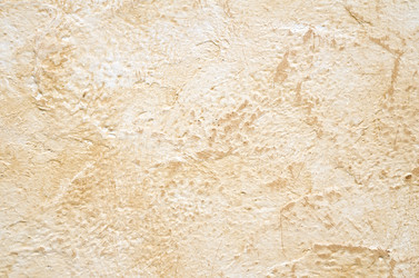 Similar image 8485041