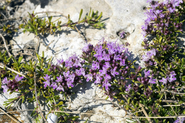 Similar image 8485050