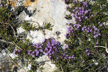 Similar image 8485051