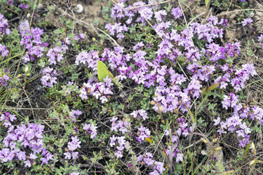 Similar image 8485053