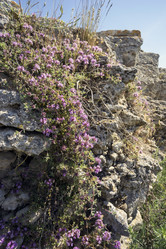 Similar image 8485057