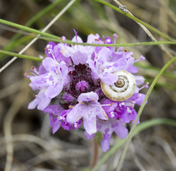 Similar image 8485058