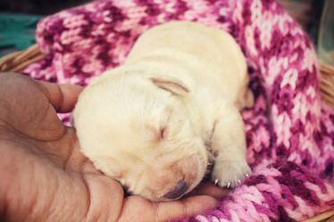 Similar image 8485099