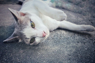 Similar image 8485101