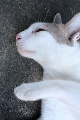 Similar image 8485103