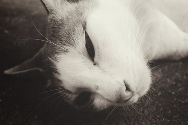 Similar image 8485105