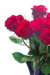 Similar image 8485114