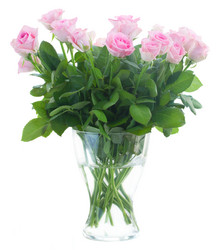 Similar image 8485139