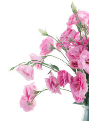 Similar image 8485141