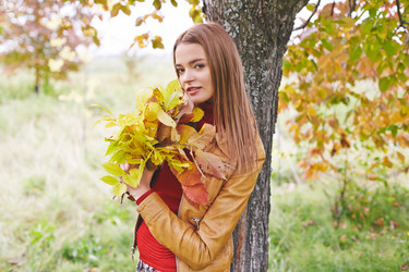 Similar image 8485189