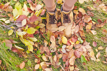 Similar image 8485191